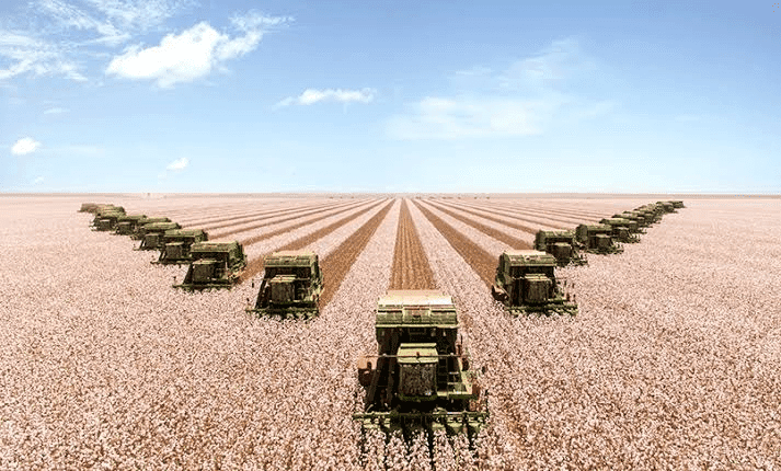 Rei dos hectares: conheça os três maiores produtores agrícolas do Brasil