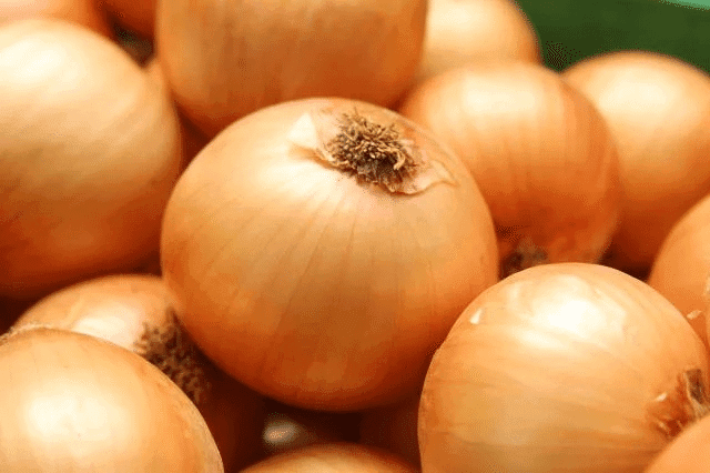 Ministério orienta renegociação de dívidas do Pronaf para produtores de cebola