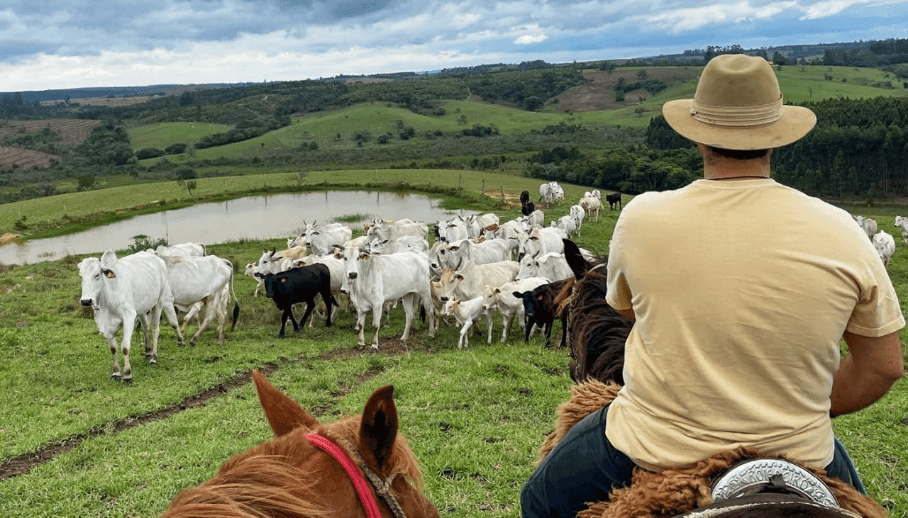CMN reduz juros de financiamentos a cooperativas rurais pelo Pronaf