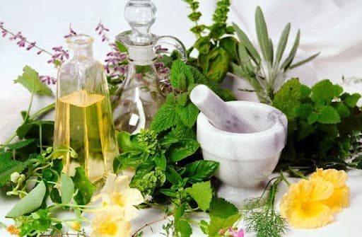 Rodeio Bonito promove curso gratuito sobre plantas medicinais 