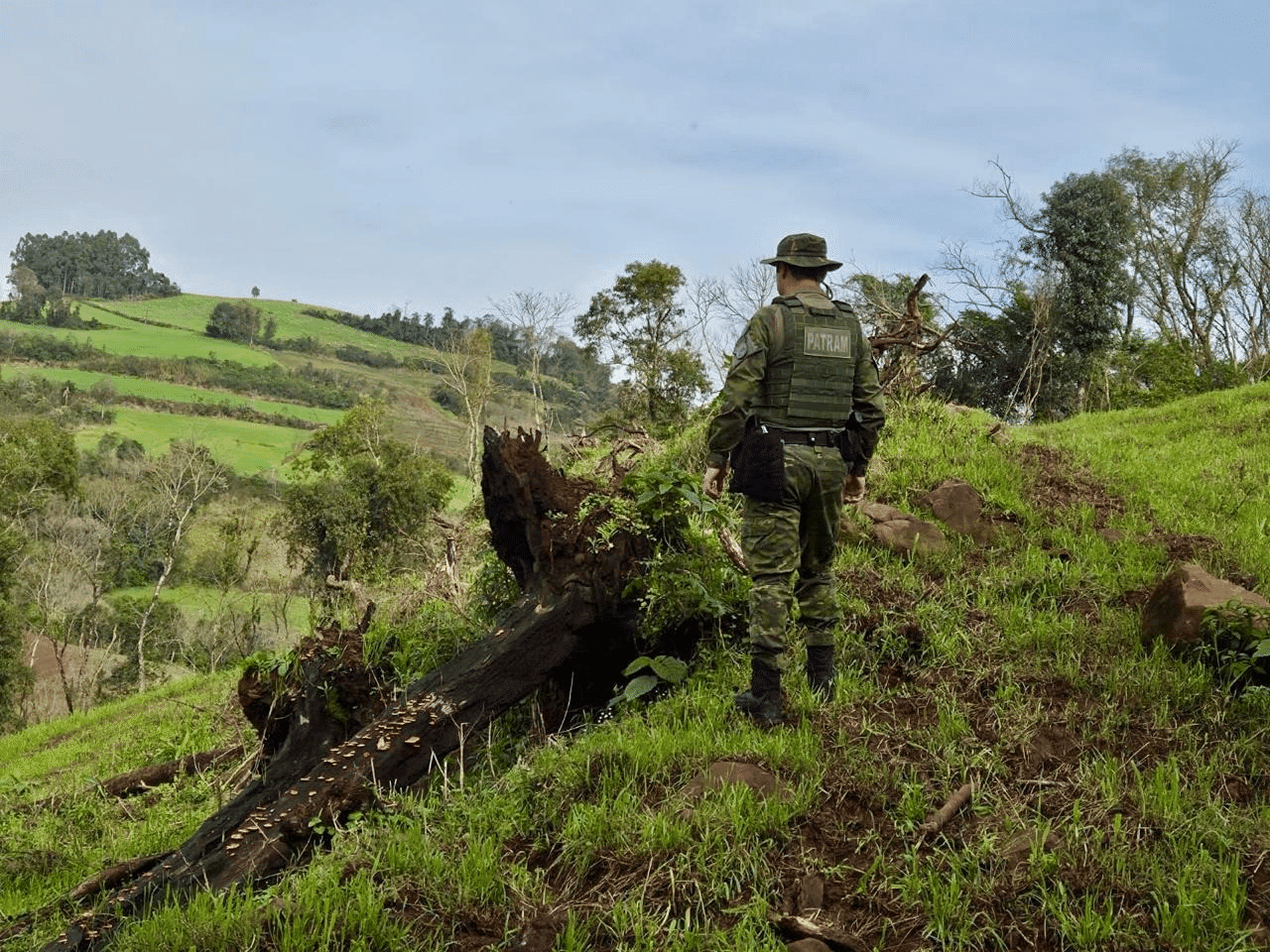 Supressão de vegetação nativa é constatada durante fiscalização em Seberi