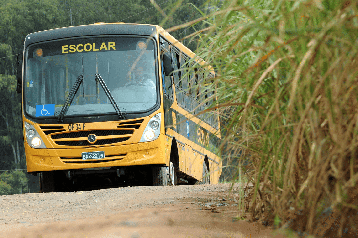 Liberato Salzano abre inscrições para programa de auxílio no transporte estudantil